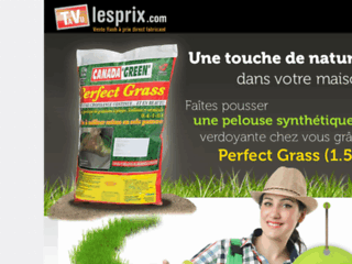 Détails : gazon